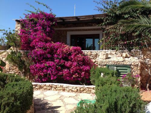 Cupola Bianca Resort Lampedusa Zewnętrze zdjęcie