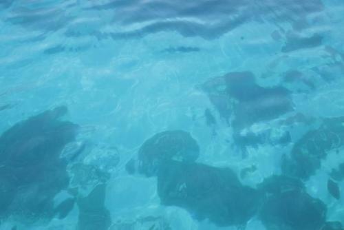 Cupola Bianca Resort Lampedusa Zewnętrze zdjęcie